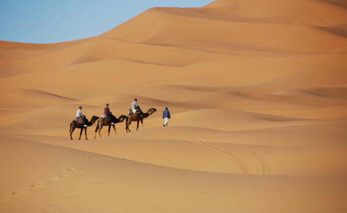 10-Day Desert Tour from Casablanca
