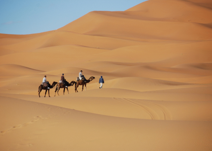 10-Day Desert Tour from Casablanca