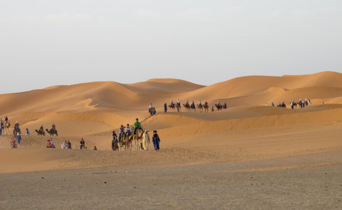 8-Day Desert Tour from Tangier to Marrakech